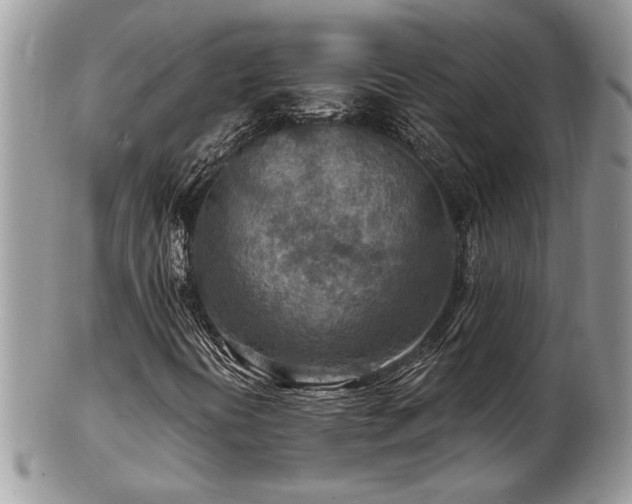 X0000103241394200808281430