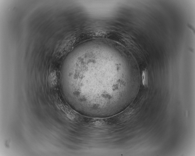X0000103241395200808281430