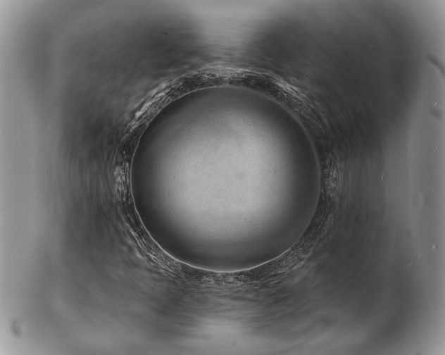 X0000103241397200808281430