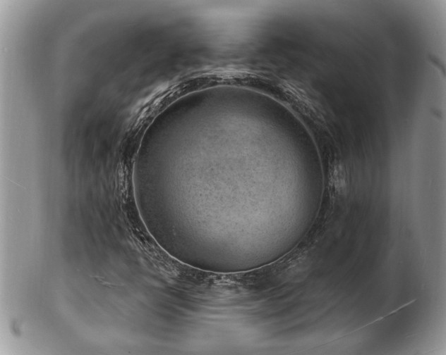 X0000103241398200808281430