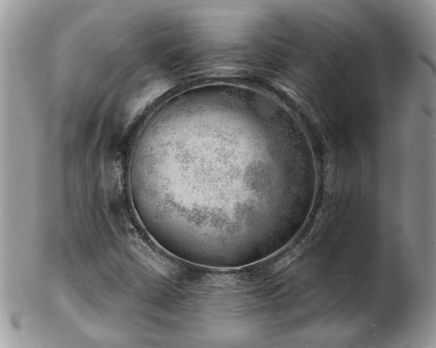 X0000103241402200808281430