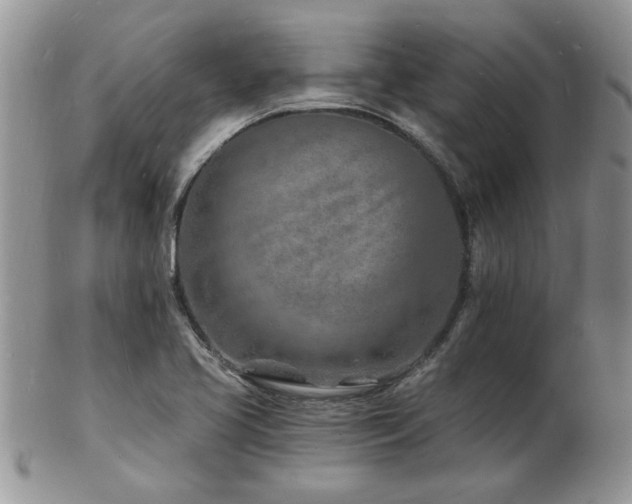 X0000103241413200808281430