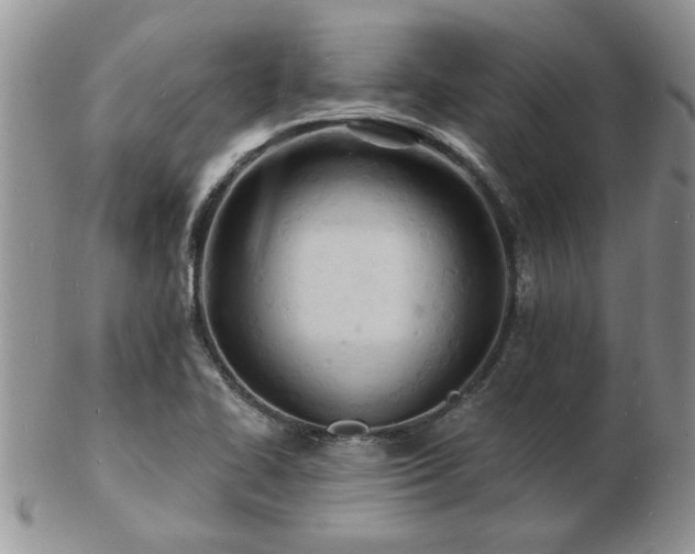 X0000103241414200808281431