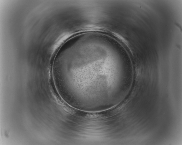 X0000103241415200808281431