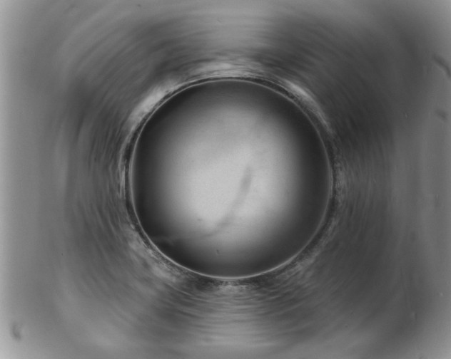 X0000103241419200808281431
