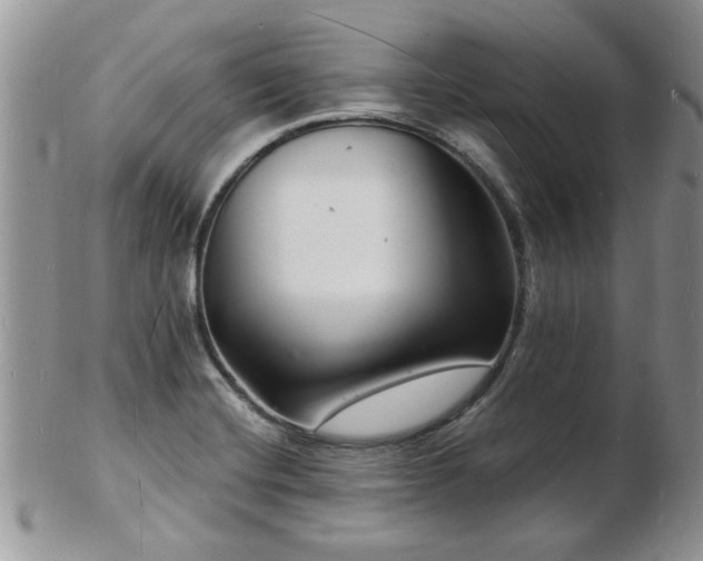 X0000103241420200808281431