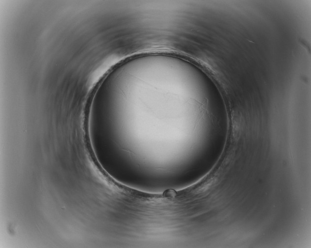 X0000103241422200808281431