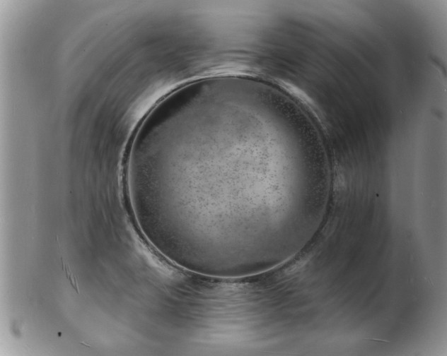 X0000103241423200808281431