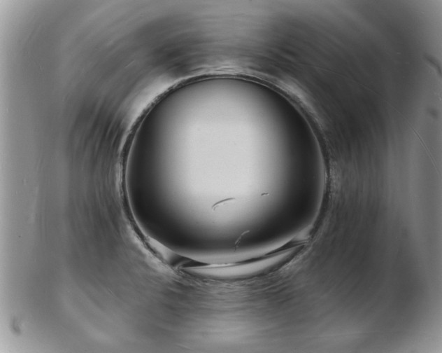 X0000103241424200808281431