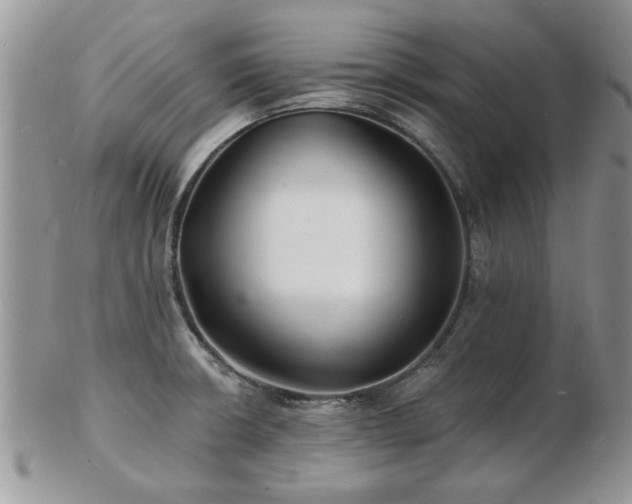 X0000103241426200808281431