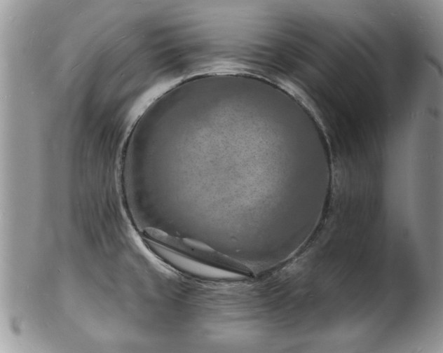 X0000103241429200808281431