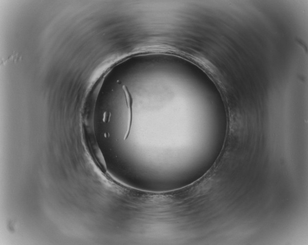 X0000103241430200808281431