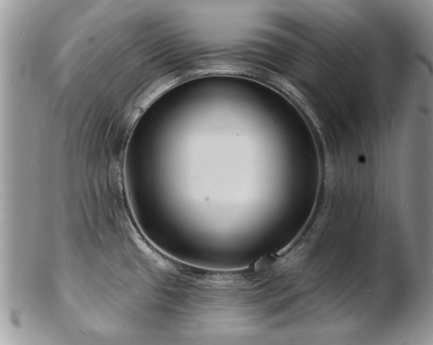 X0000103241433200808281431