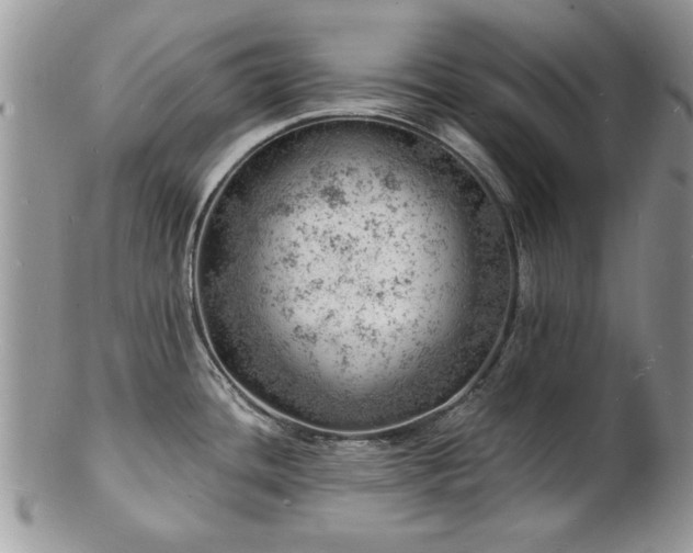 X0000103241436200808281431