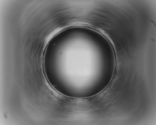 X0000103241437200808281431