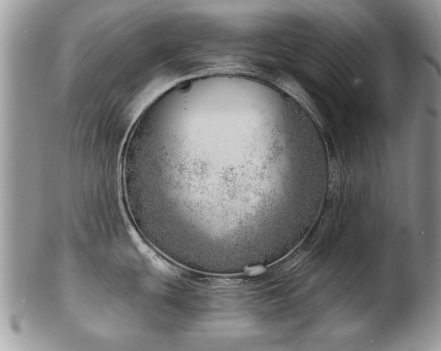 X0000103241439200808281431