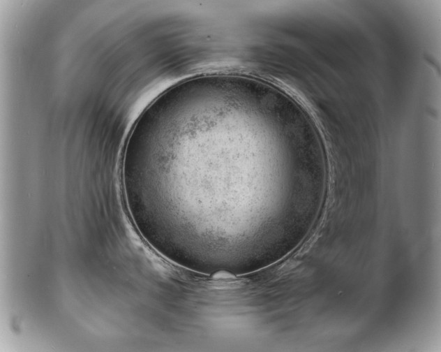 X0000103241440200808281431