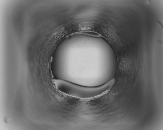 X0000103241441200808281430