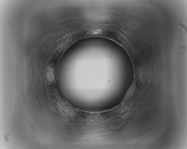 X0000103241442200808281430