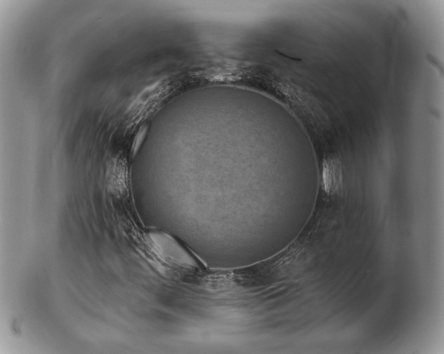 X0000103241444200808281430