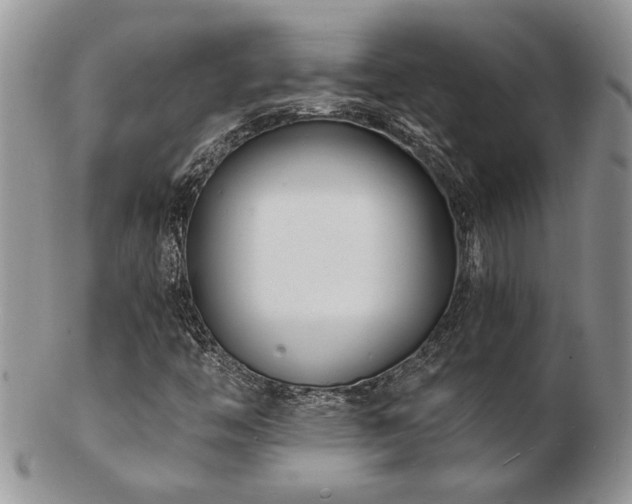 X0000103241446200808281430