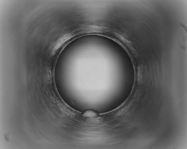 X0000103241453200808281430