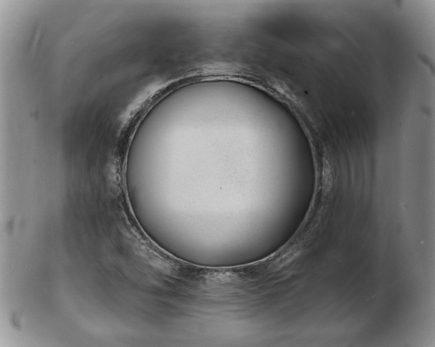 X0000103241454200808281430