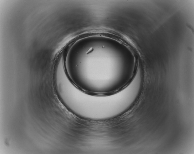 X0000103241456200808281430