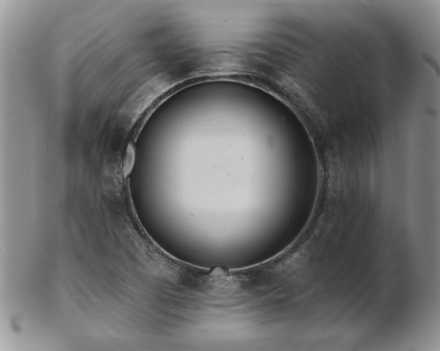 X0000103241457200808281430