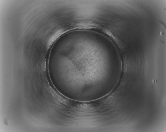 X0000103241459200808281430