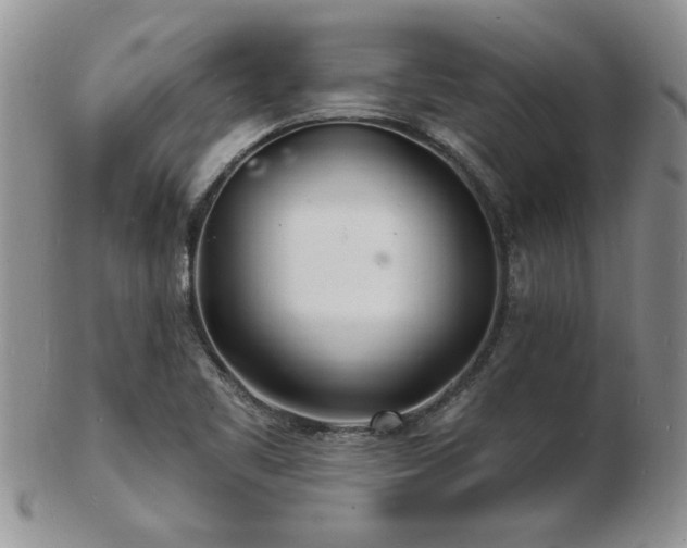 X0000103241461200808281430