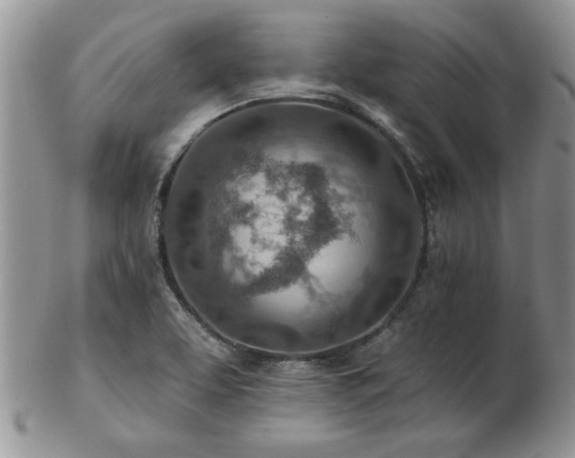 X0000103241463200808281430