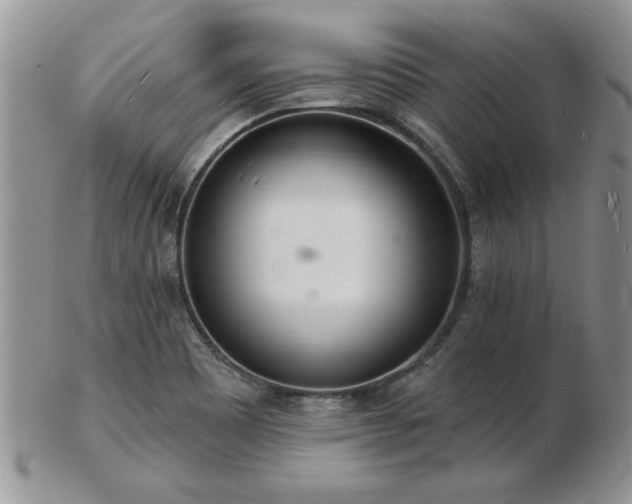 X0000103241465200808281430