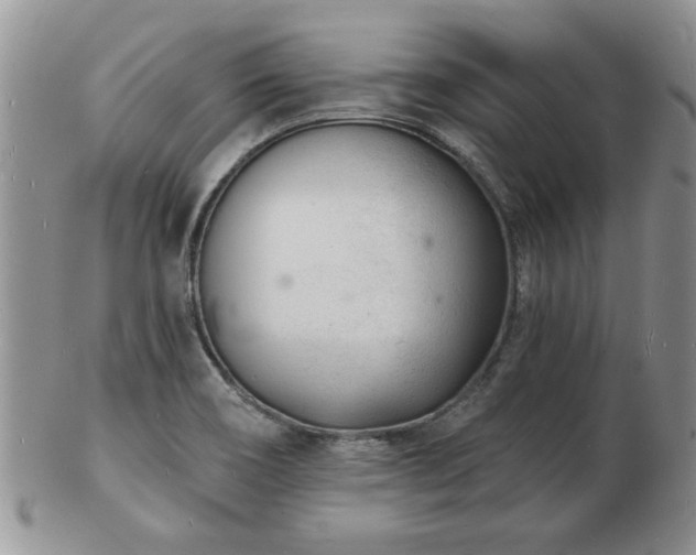 X0000103241466200808281430