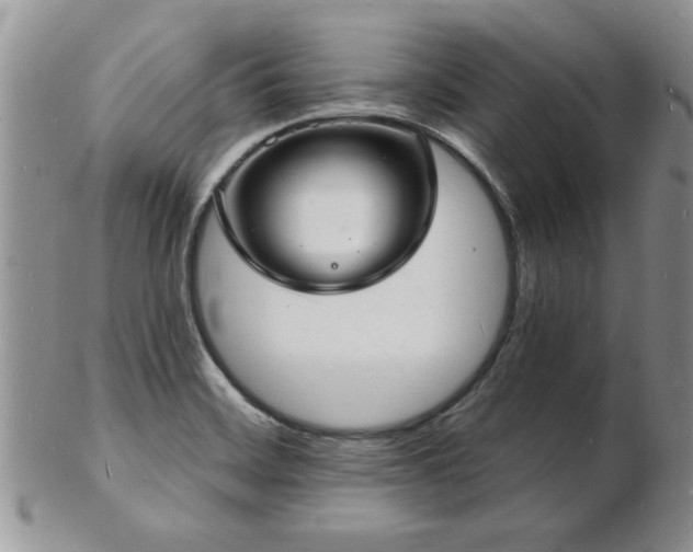 X0000103241468200808281430