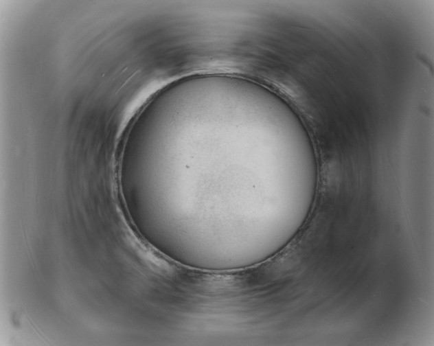 X0000103241470200808281430
