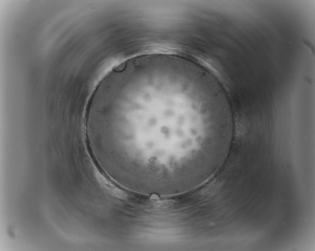X0000103241471200808281430