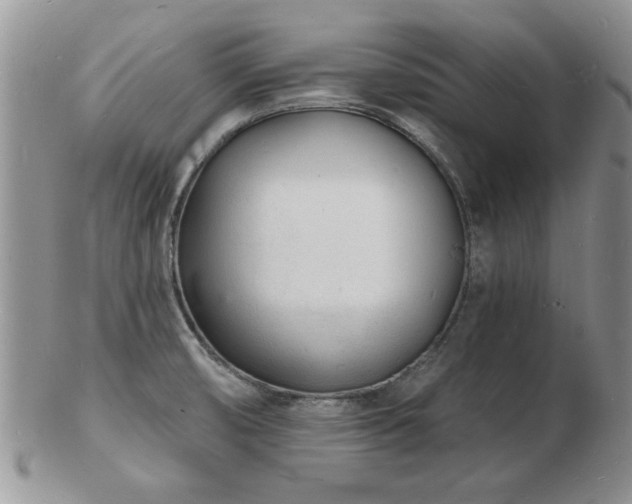 X0000103241474200808281430