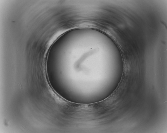 X0000103241478200808281430