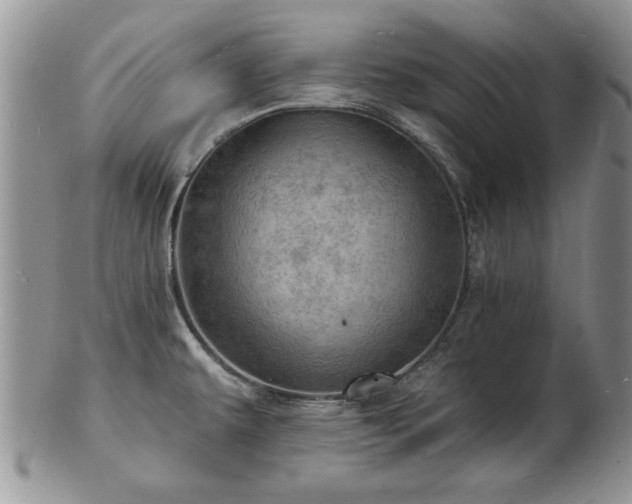X0000103241479200808281430