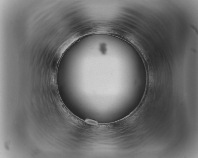 X0000103241481200808281430