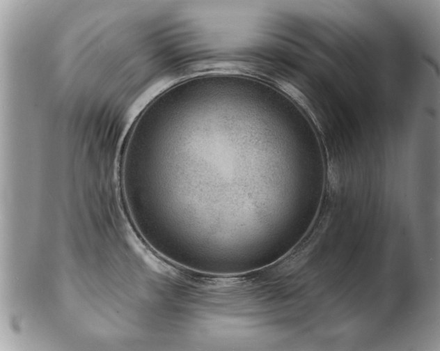 X0000103241482200808281430