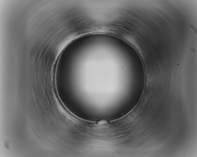 X0000103241483200808281430