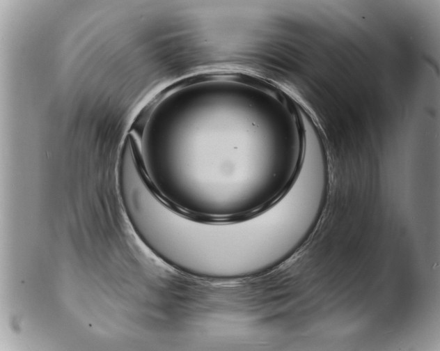 X0000103241484200808281430