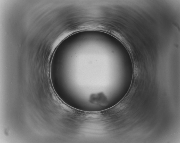 X0000103241486200808281430