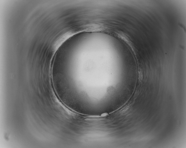 X0000103241487200808281429