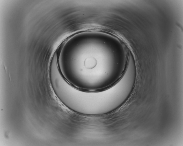 X0000103241488200808281429