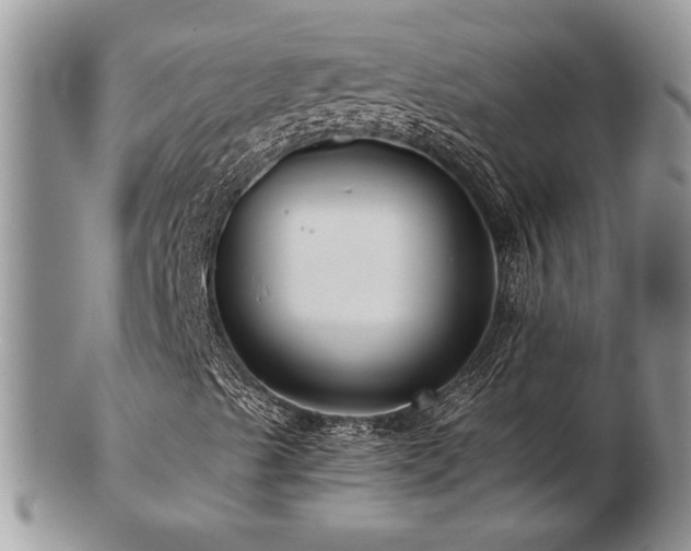 X0000103241489200808281429