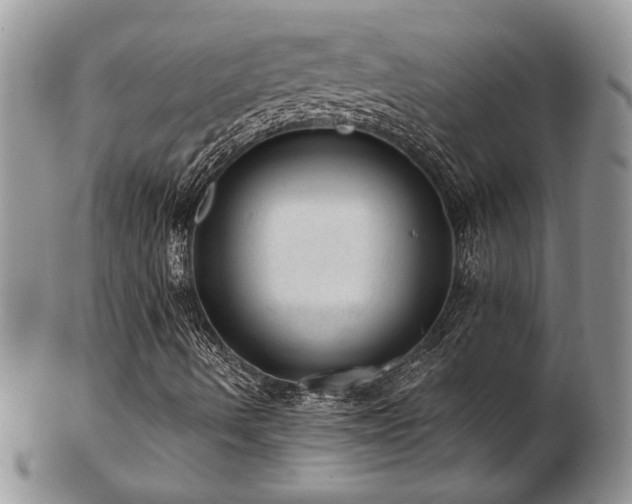 X0000103241490200808281429