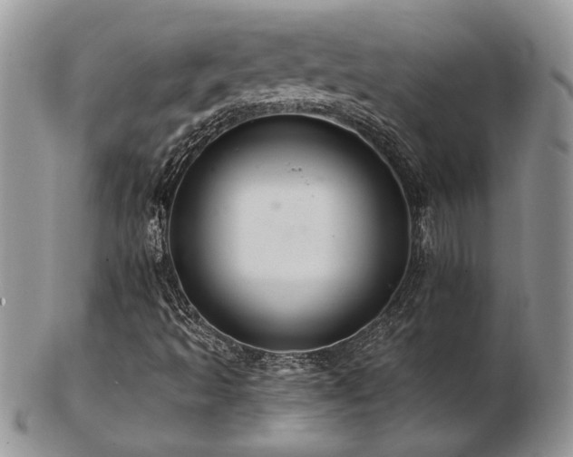 X0000103241493200808281429